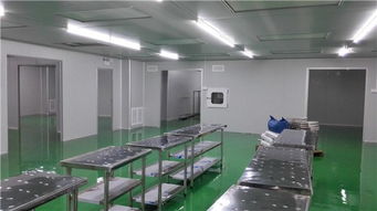 專業(yè)無塵實驗室建設(shè)專家 無錫谷能凈化與石家莊無塵實驗室安裝服務詳解